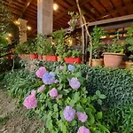 Alberti Llogara 3*