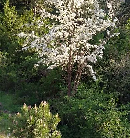 게스트하우스 Alberti Llogara 3*