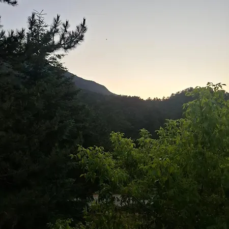 Alberti Llogara