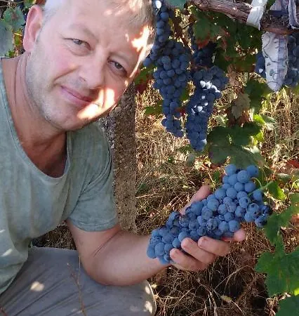 Alberti Llogara Gasthof 3*