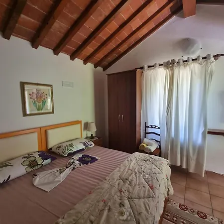 Alberti Llogara *