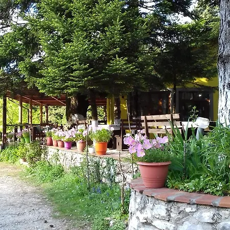 Guest house Alberti Llogara *